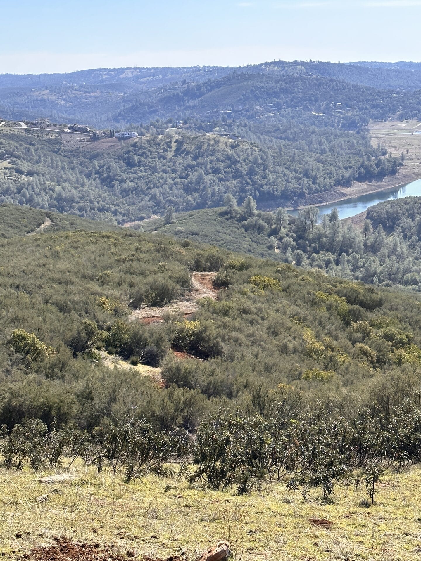 A vista across rolling chaparral to the South Fork of the American River, viewed from the Acorn Creek trailhead.