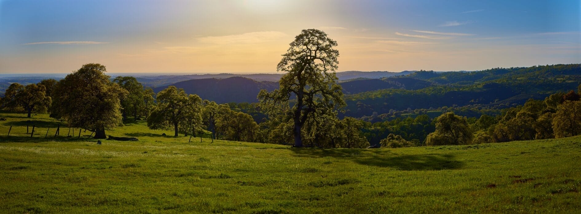 Sweeping view across El Dorado Ranch — oak savanna and grassland with the distant Sierra Nevada foothills.
