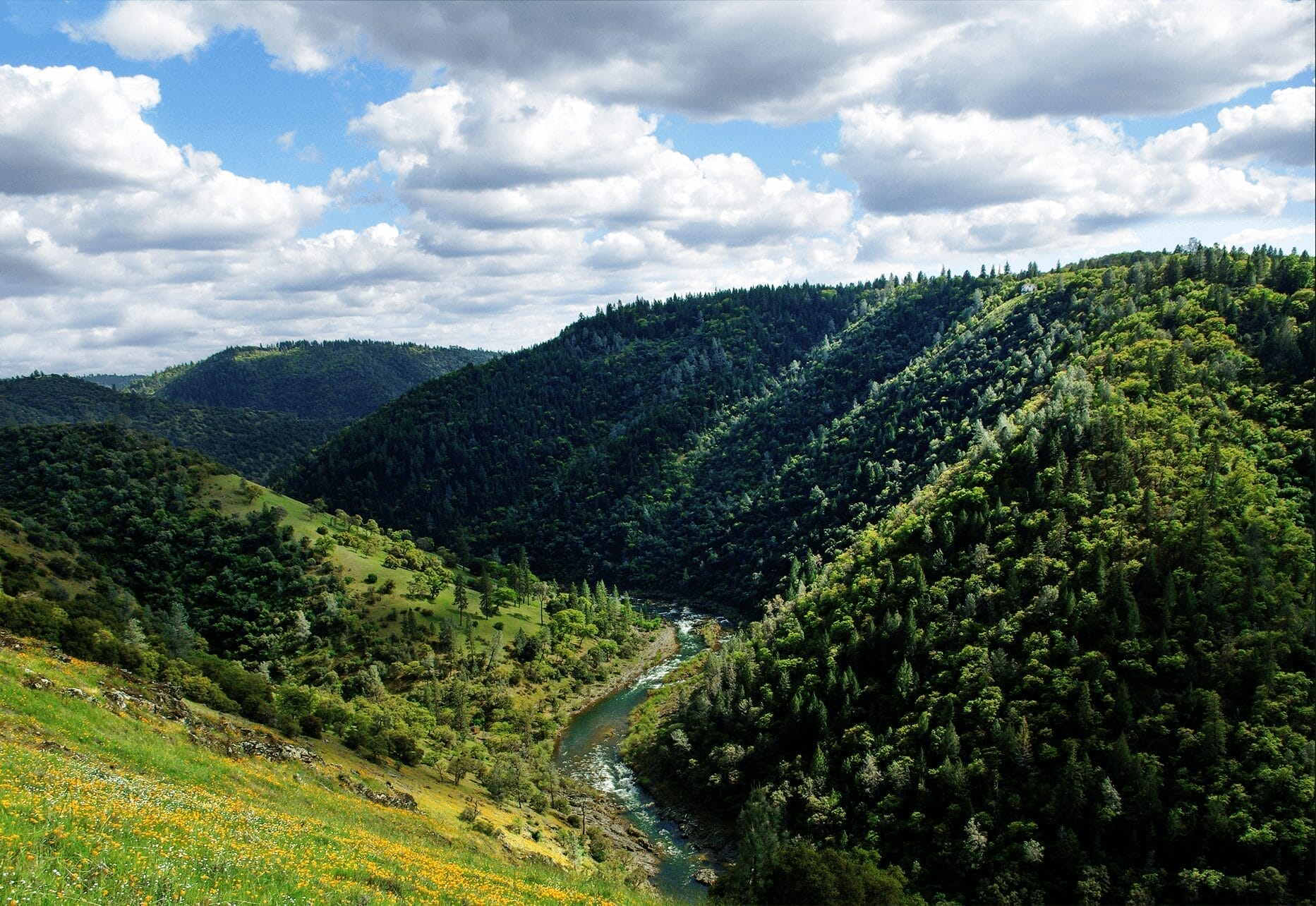 The South Fork American River winding through the Sierra Nevada foothills, framed by forested ridges and spring wildflowers.