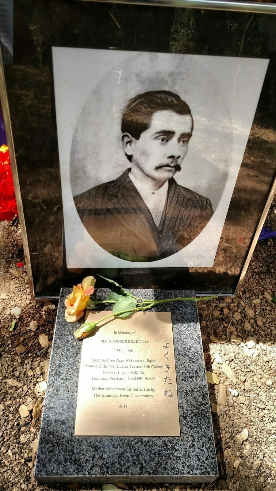 The memorial marker for Okei-san at Wakamatsu Farm, surrounded by stone and oak.